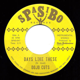 Dojo Cuts ‎– Days like these / Take me away