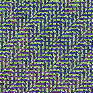 Animal Collective – Merriweather Post Pavilion (Purple / Green)