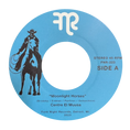 Centre El Muusa ‎– Moonlight Horses