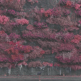 Sleep Token – Even In Arcadia (Gold)