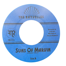 The Rayvelles ‎– Nothing But Reasons / Suns Of Marvin