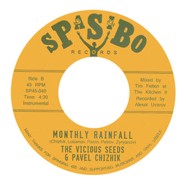 The Vicious Seeds & Pavel Chizhik – Village Hassle