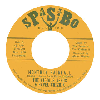 The Vicious Seeds & Pavel Chizhik – Village Hassle