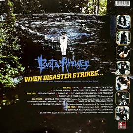 Busta Rhymes ‎– When Disaster Strikes... (Silver)